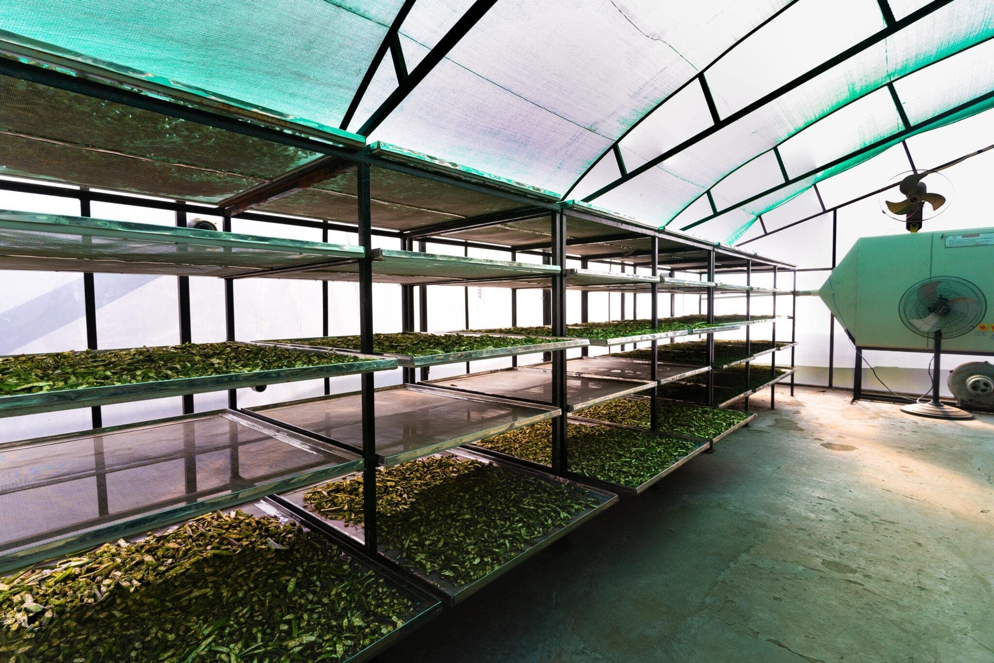 Mirai Organics facility
