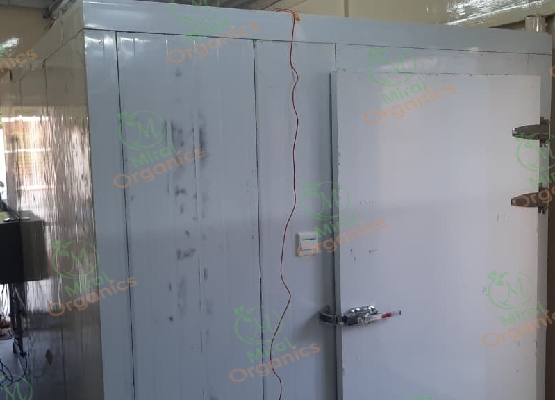 Cold storage and pre-processing room at the Mirai Organics facility