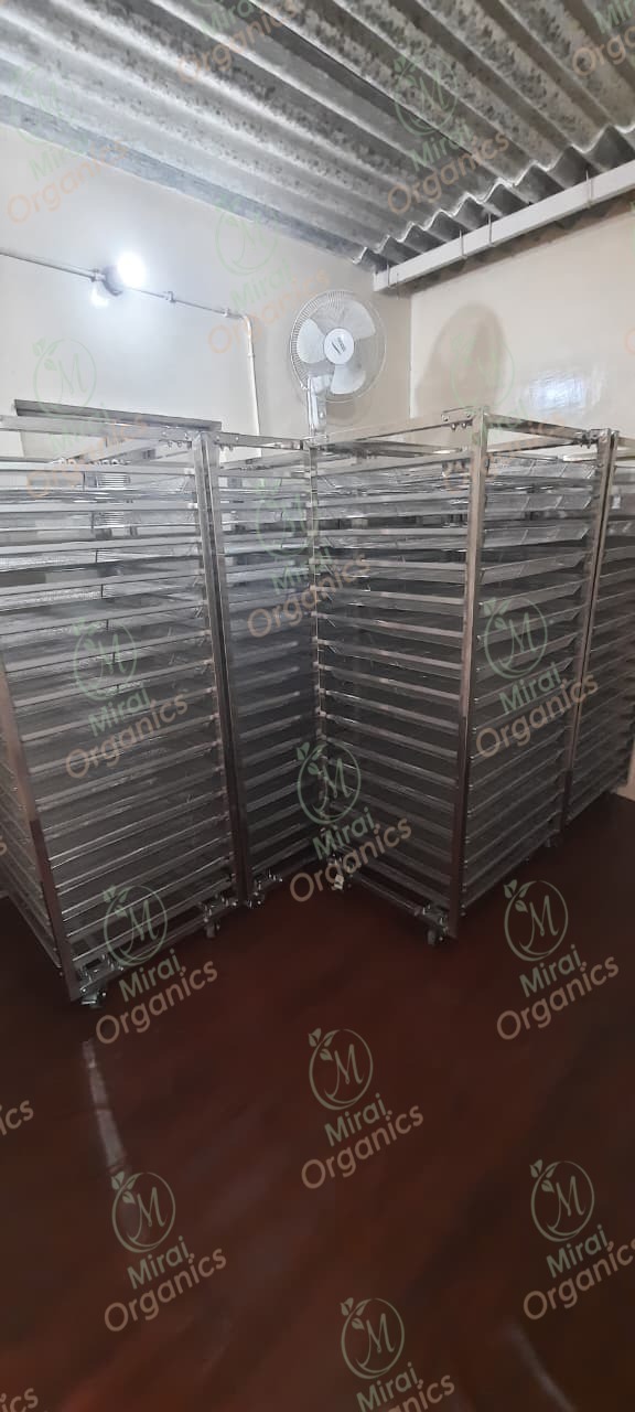 Rows of tray-drying racks inside the facility