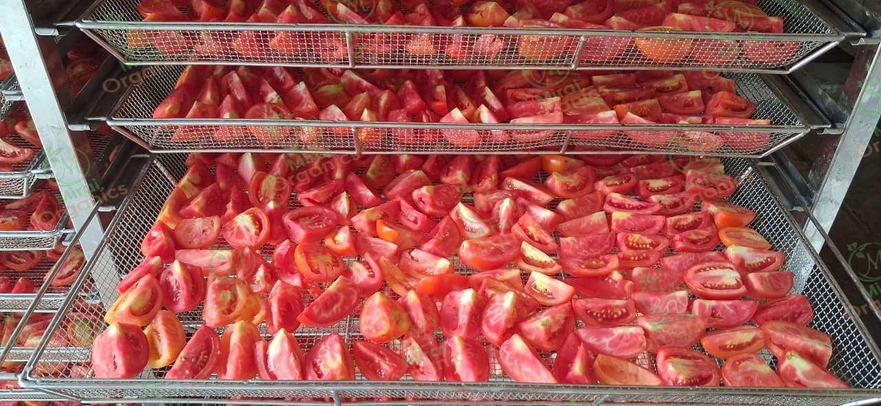 Close-up of tomato slices on a drying tray at the Mirai Organics facility