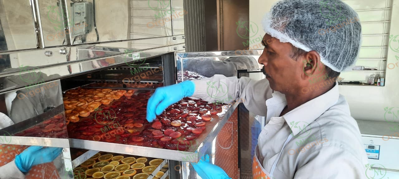 Team member loading a tray of dried fruit into the dehydrator