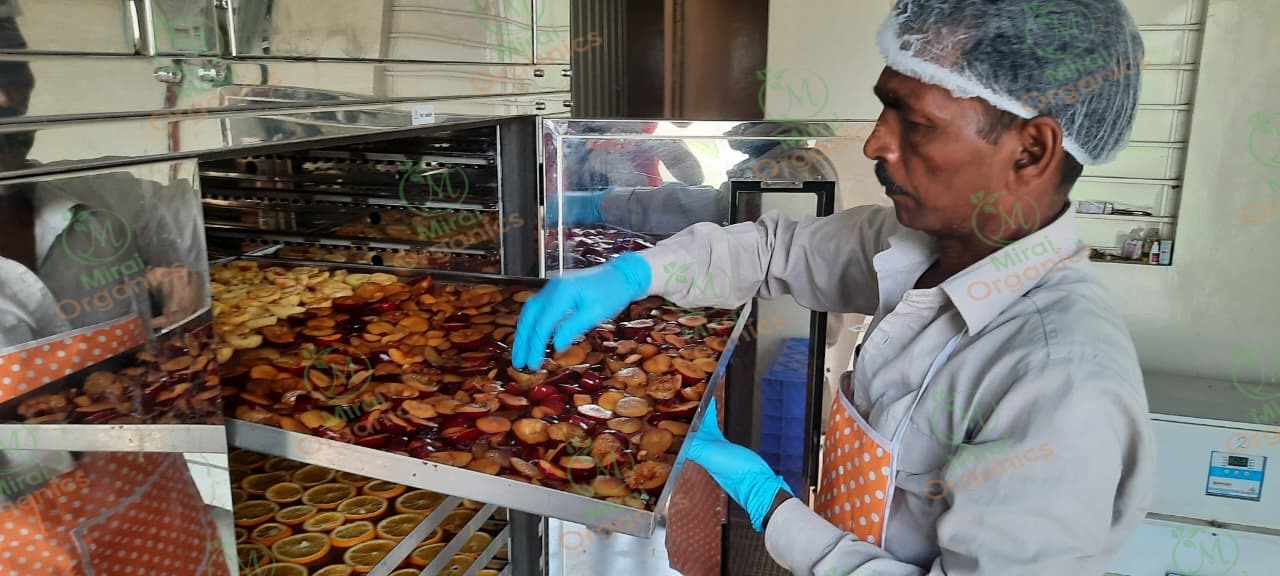 Trays of dried fruit being loaded into the dehydrator