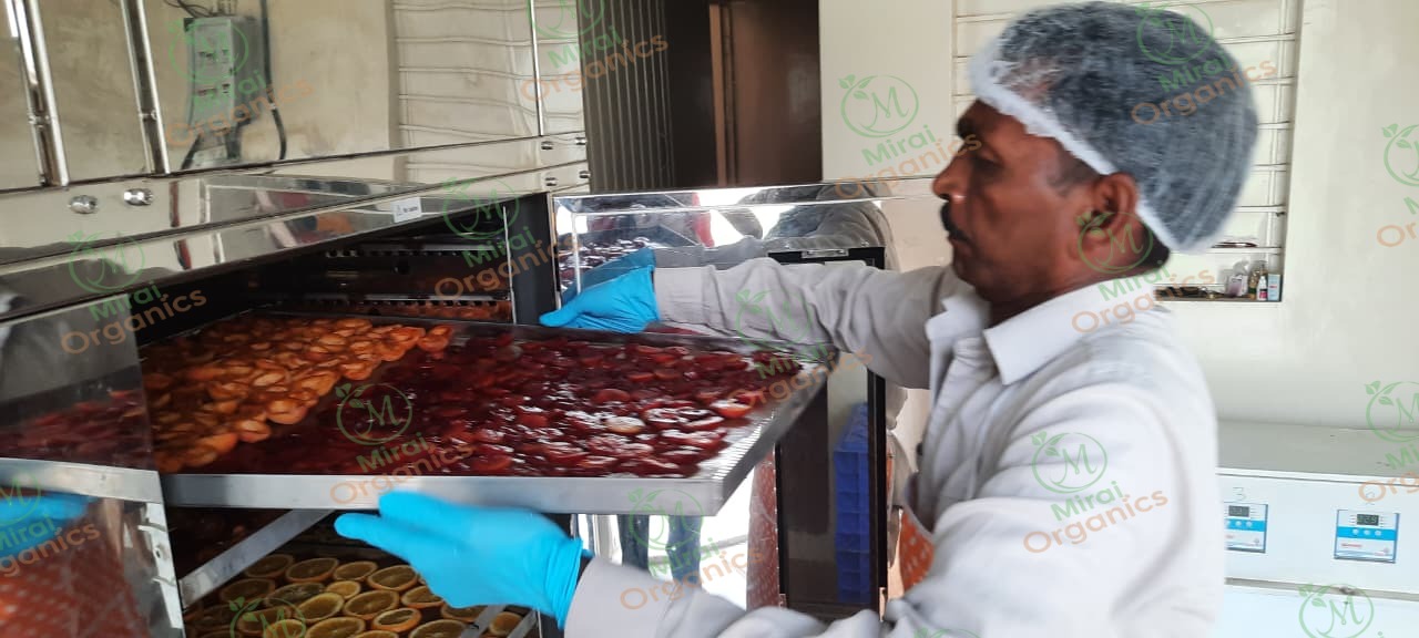Trays of beetroot and tomato being loaded into the dehydrator at the Mirai Organics facility