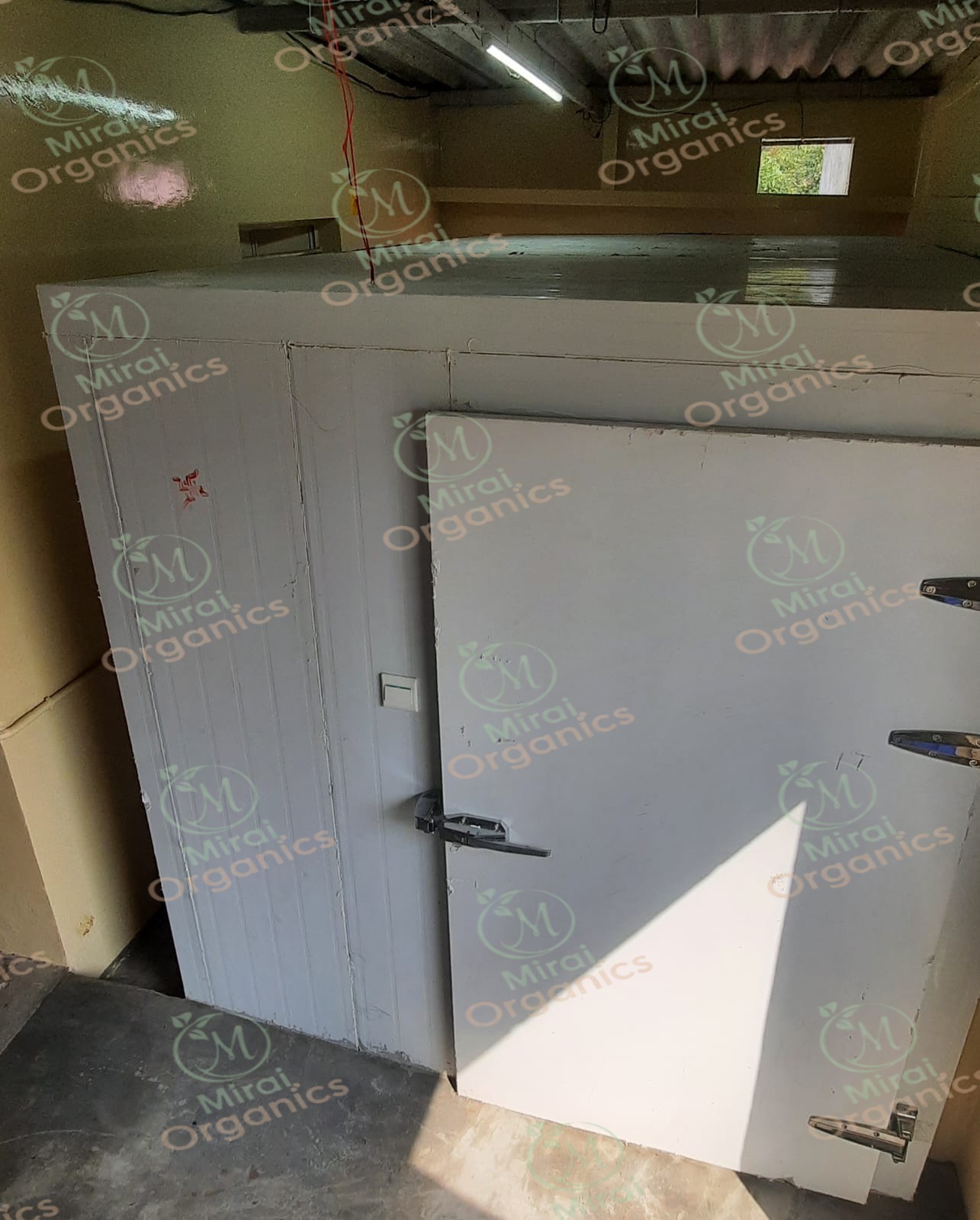 Hand-checking a batch of dried produce for quality
